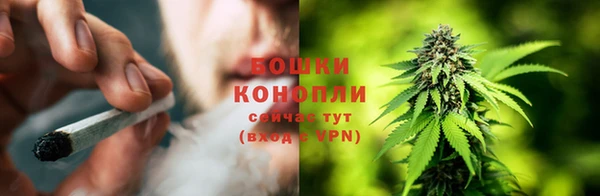 молекула духа Заводоуковск