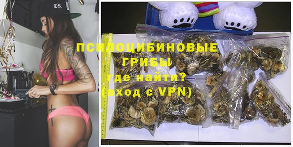 молекула духа Заводоуковск
