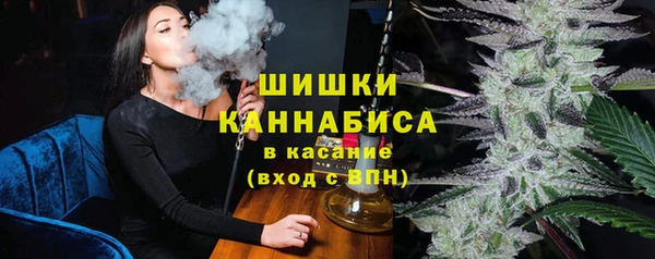 молекула духа Заводоуковск