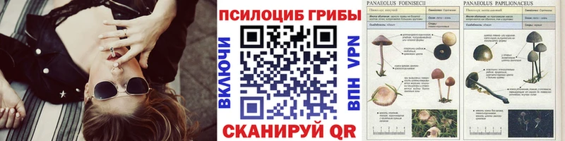 Галлюциногенные грибы Cubensis  Купить где  Новый Оскол 